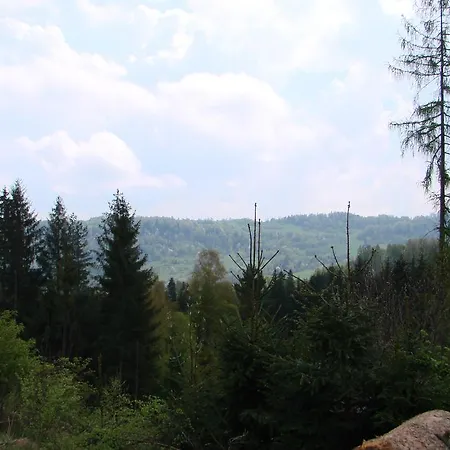 Roza Kamesznica