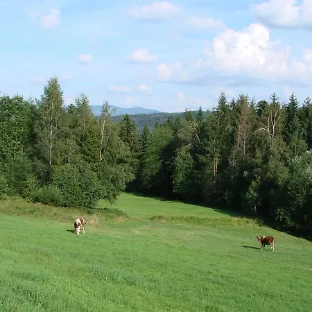 Ferienhaus Roza Kamesznica