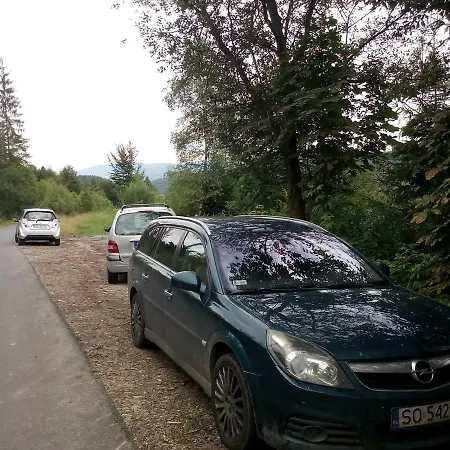 Róża * Kamesznica