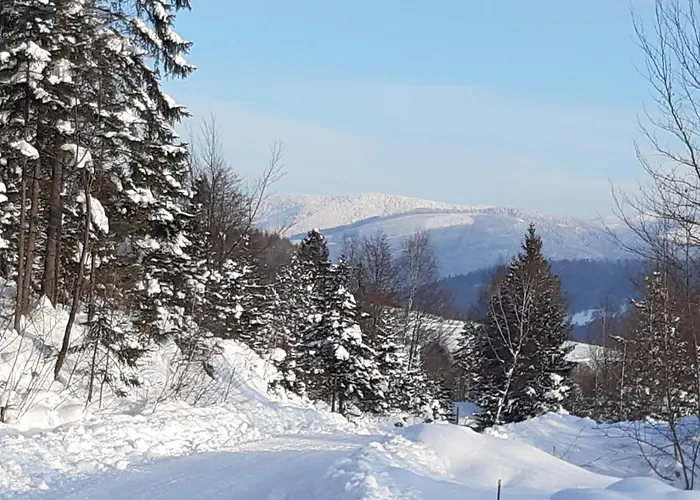 Roza בית נופש Kamesznica