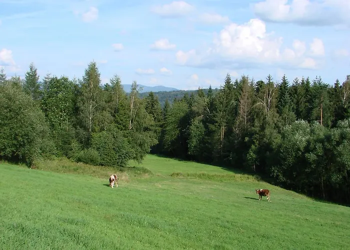 Holiday home Roza Kamesznica